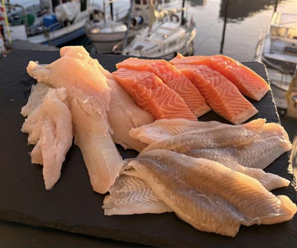 Fiske kasse